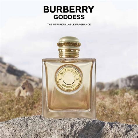 burberry parfume dame|burberry perfume official site.